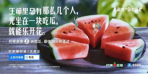 网红的吃瓜视频文案,揭秘娱乐圈幕后真相