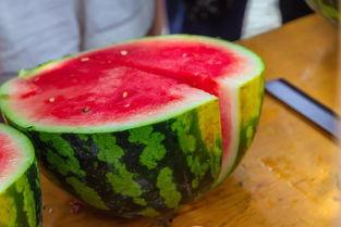 吃瓜各类名字网红,揭秘网红们的花式昵称与人气传奇